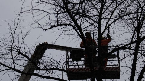 Tekunkadulta, Sammonkadulta ja Teiskontieltä poistetaan puita raitiotietöitä varten