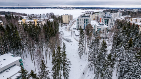 Puita poistetaan Pyhällönpuistosta ja Pölkkylänniemestä – raitiotien rakentamisen jatkoa länteen valmistellaan